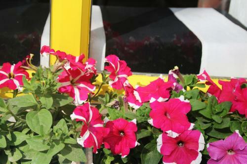 Gypsy Child Lake Hostel Udaipur