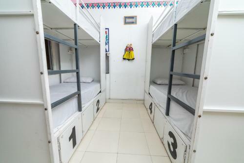 Hotel Backpacker Panda Udaipur