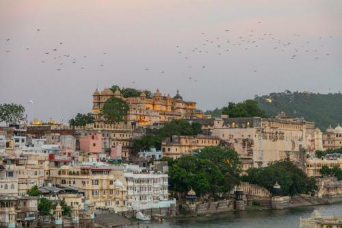 Hotel Backpacker Panda Udaipur