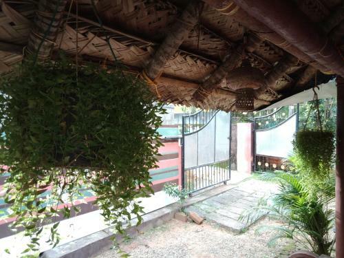 Hostal Mango Palace