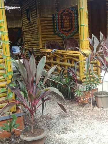 Hotel My Eco Villa