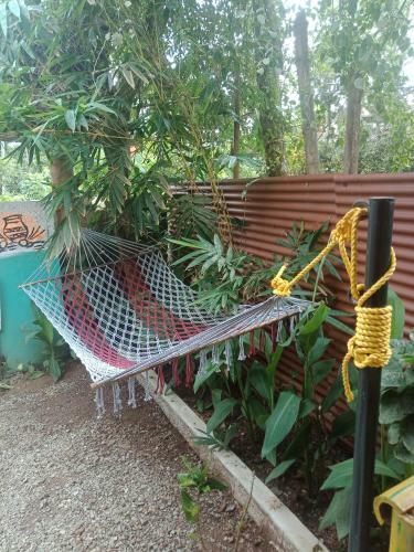 Hotel My Eco Villa