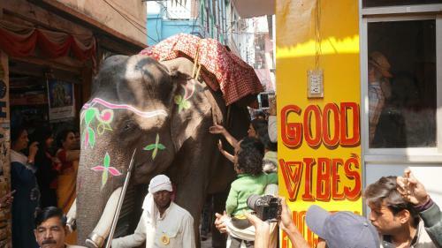 Good Vibes Hostel