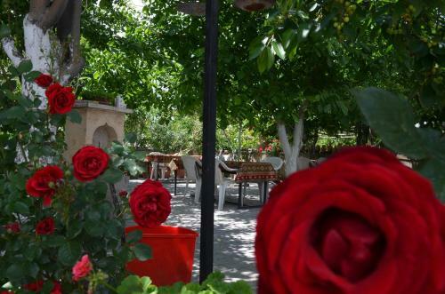 Hostal Erciyes Pension