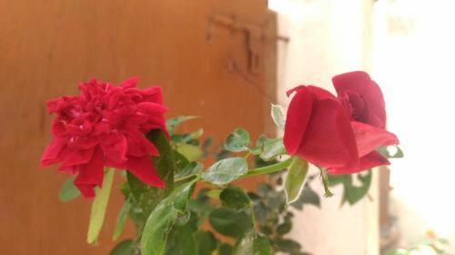 Apartamento Prakrutika
