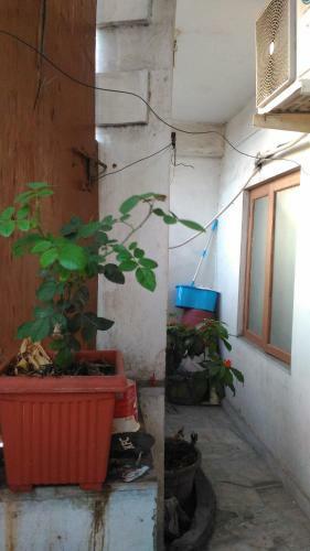 Apartamento Prakrutika