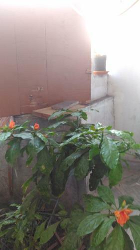 Apartamento Prakrutika