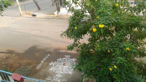 Apartamento Prakrutika