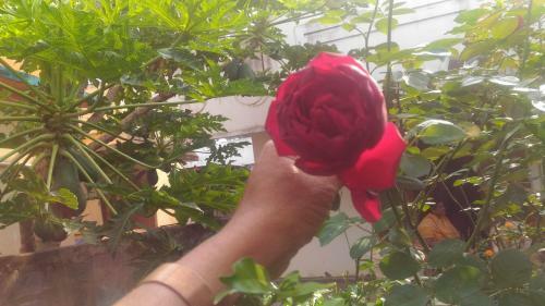 Apartamento Prakrutika