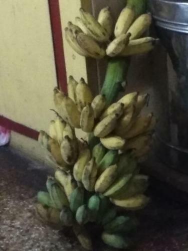 Apartamento Prashanthi