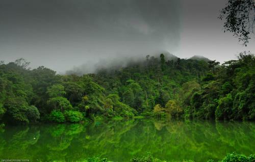 Sanjose Holiday Home Resort,virajpet