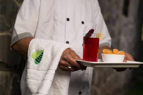 Hotel Nirvana Nature Cure