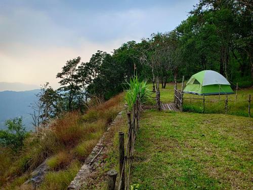 Birders Den Camps