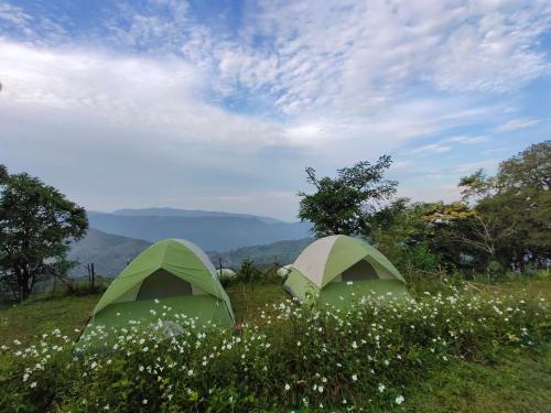Birders Den Camps