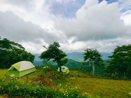 Birders Den Camps