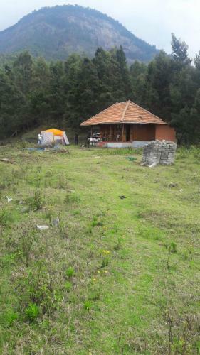 Zero Degree