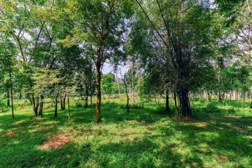 Apartamentos Exotic 1bhk Home Near Sultan Bathery