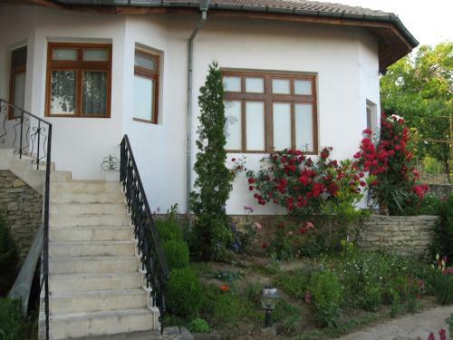 Hostal Guest House Astra