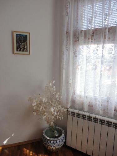 Hostal Guest House Astra