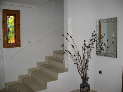 Hostal Guest House Astra