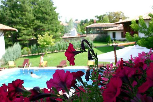 Hotel Izvora