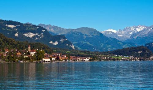 Hotel Wildbach