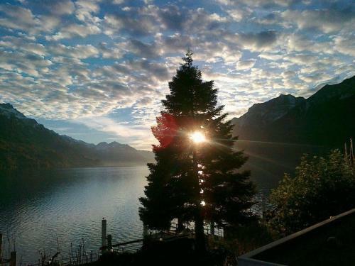 Posada Seehotel B�ren