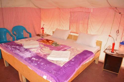 Nubra Pika Camp