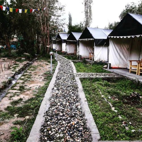 Nubra Pika Camp