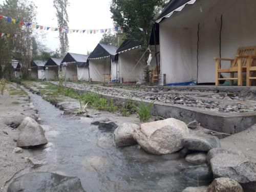 Nubra Pika Camp