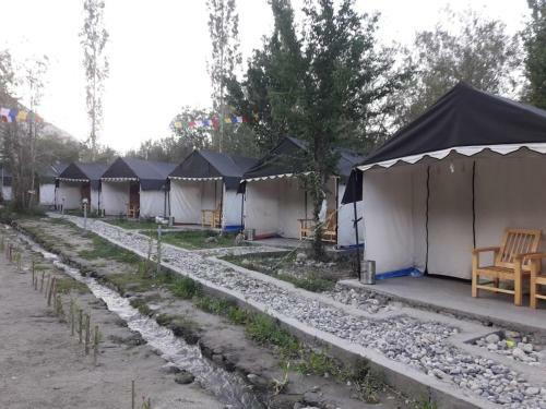 Nubra Pika Camp