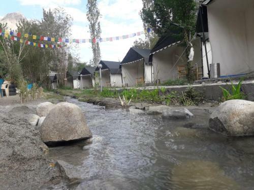 Nubra Pika Camp