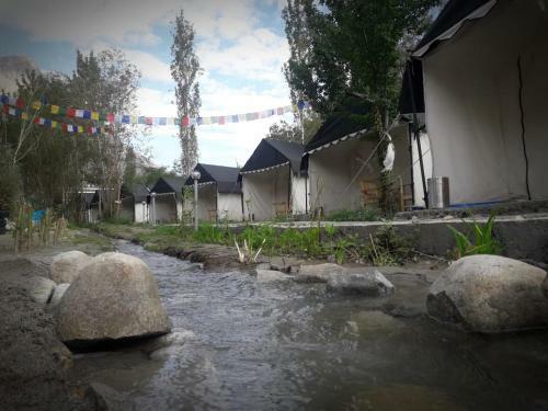 Nubra Pika Camp