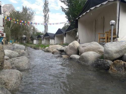 Nubra Pika Camp