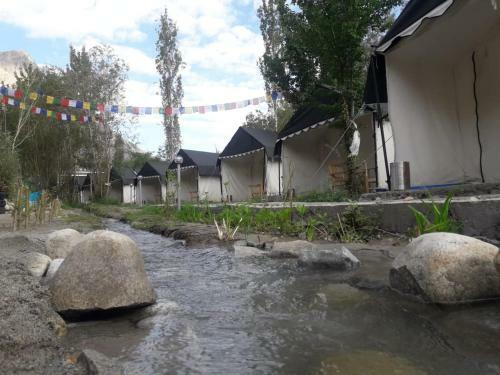 Nubra Pika Camp