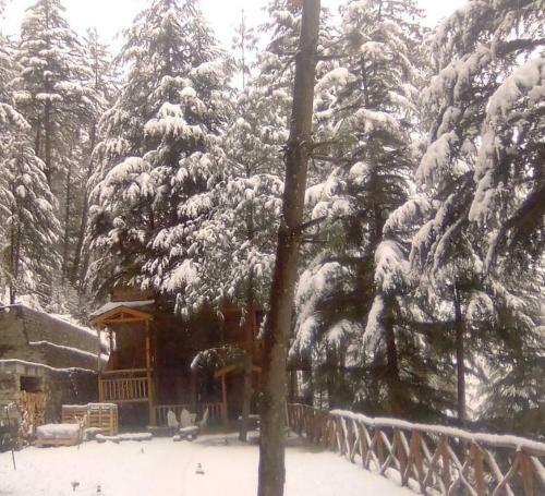 Hotel Kudrat - A Boutique Homestay