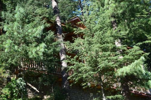 Hotel Kudrat - A Boutique Homestay