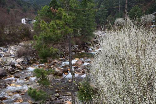 Hotel Kudrat - A Boutique Homestay