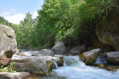 Hotel Kudrat - A Boutique Homestay