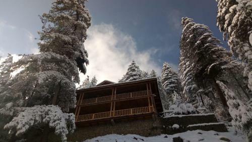 Hotel Kudrat - A Boutique Homestay
