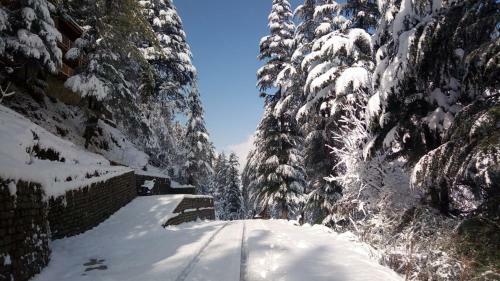Hotel Kudrat - A Boutique Homestay