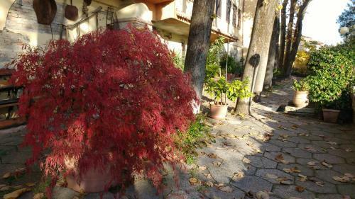 Hotel "al Belvedere"