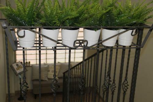 Hostal Vignola Rooms Avio