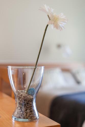 Hostal Vignola Rooms Avio