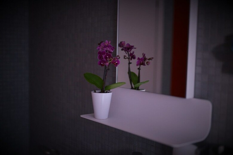 Hostal Diana Rooms