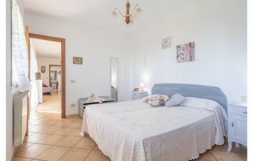 Ca�de Maria