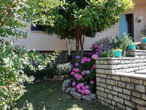 B&B Boutique Villa Terry