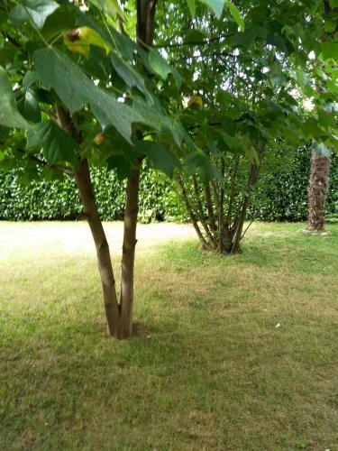 Hostal Le3stanze
