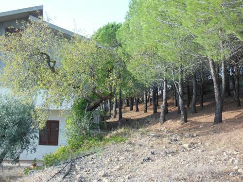 La Villa In Collina
