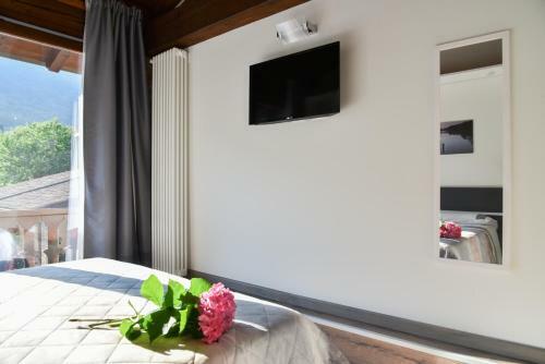 La Terrazza Sulle Vigne B&B